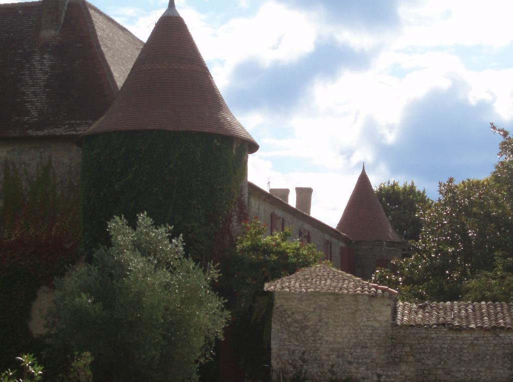 Chateau De Theon Ξενοδοχείο Cozes Εξωτερικό φωτογραφία